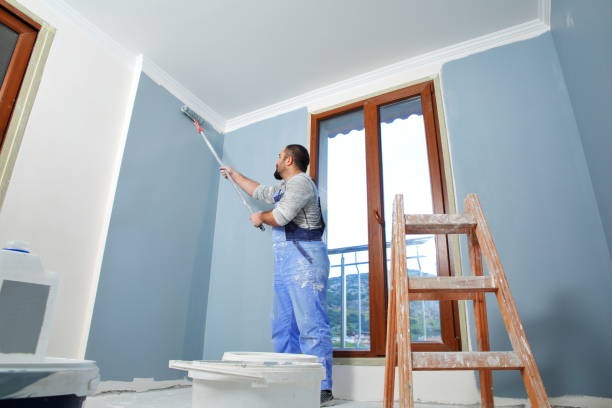 Best Environmental Consulting for Mold Prevention  in Goddard, KS