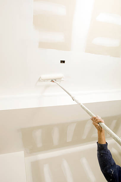 Environmental Consulting for Mold Prevention in Goddard, KS