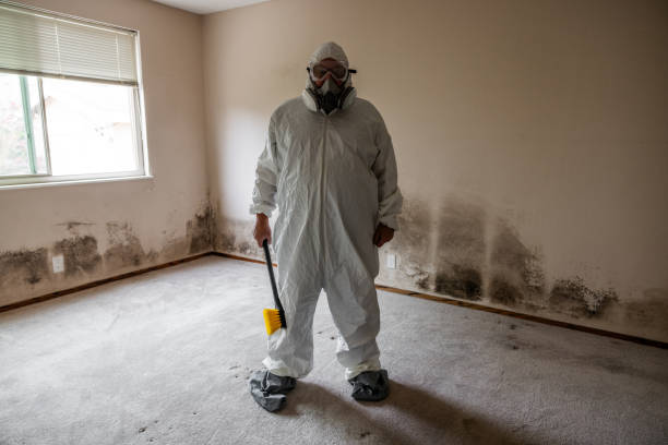 Best Commercial Mold Inspection  in Goddard, KS