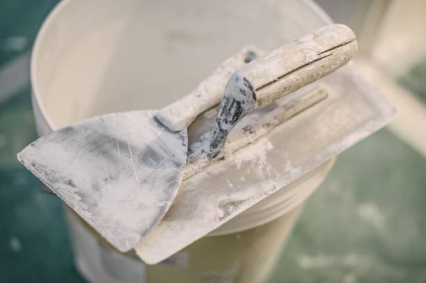 Best Mold Prevention Services  in Goddard, KS